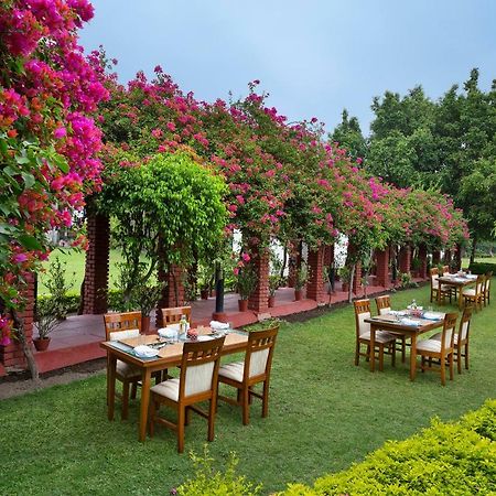 Naturoville Ayurvedic And Yoga Retreat Rishīkesh Exterior foto