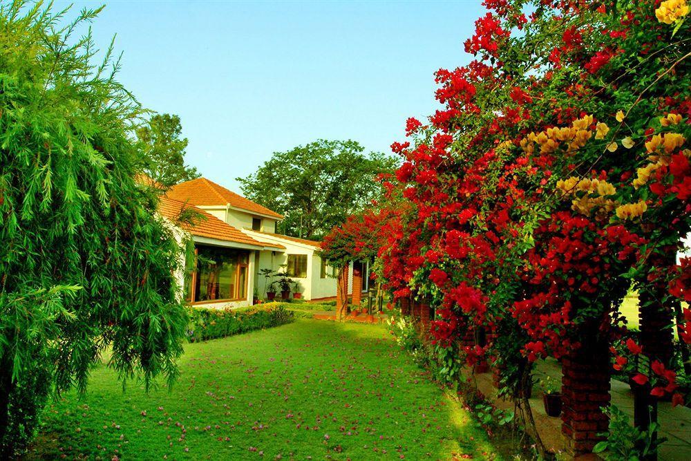 Naturoville Ayurvedic And Yoga Retreat Rishīkesh Exterior foto