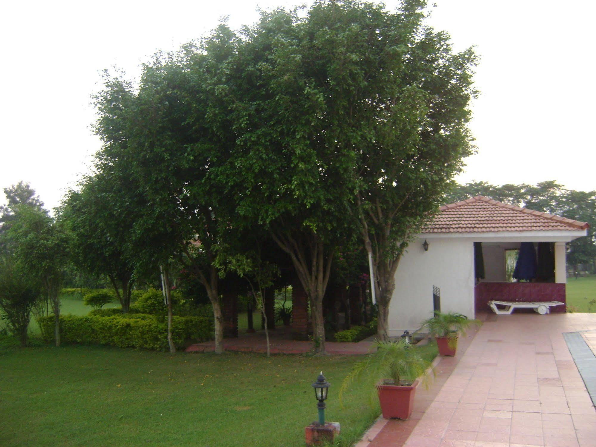 Naturoville Ayurvedic And Yoga Retreat Rishīkesh Exterior foto
