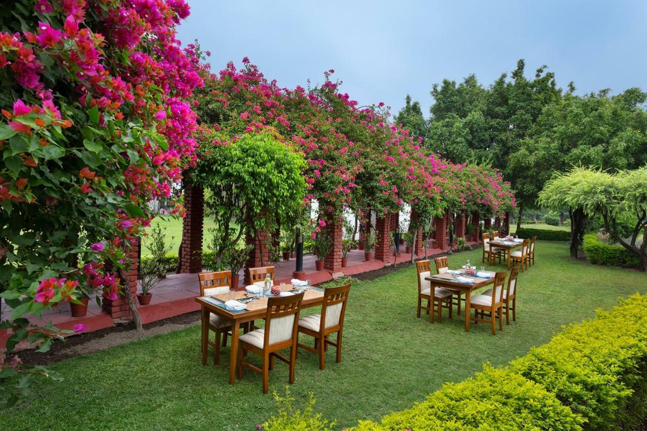 Naturoville Ayurvedic And Yoga Retreat Rishīkesh Exterior foto